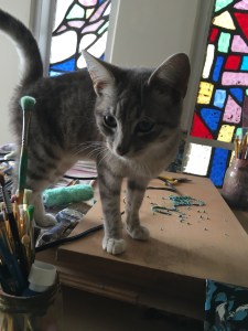 Meet Jasper. Two days ago he lived on the street. Now he lives with us:)